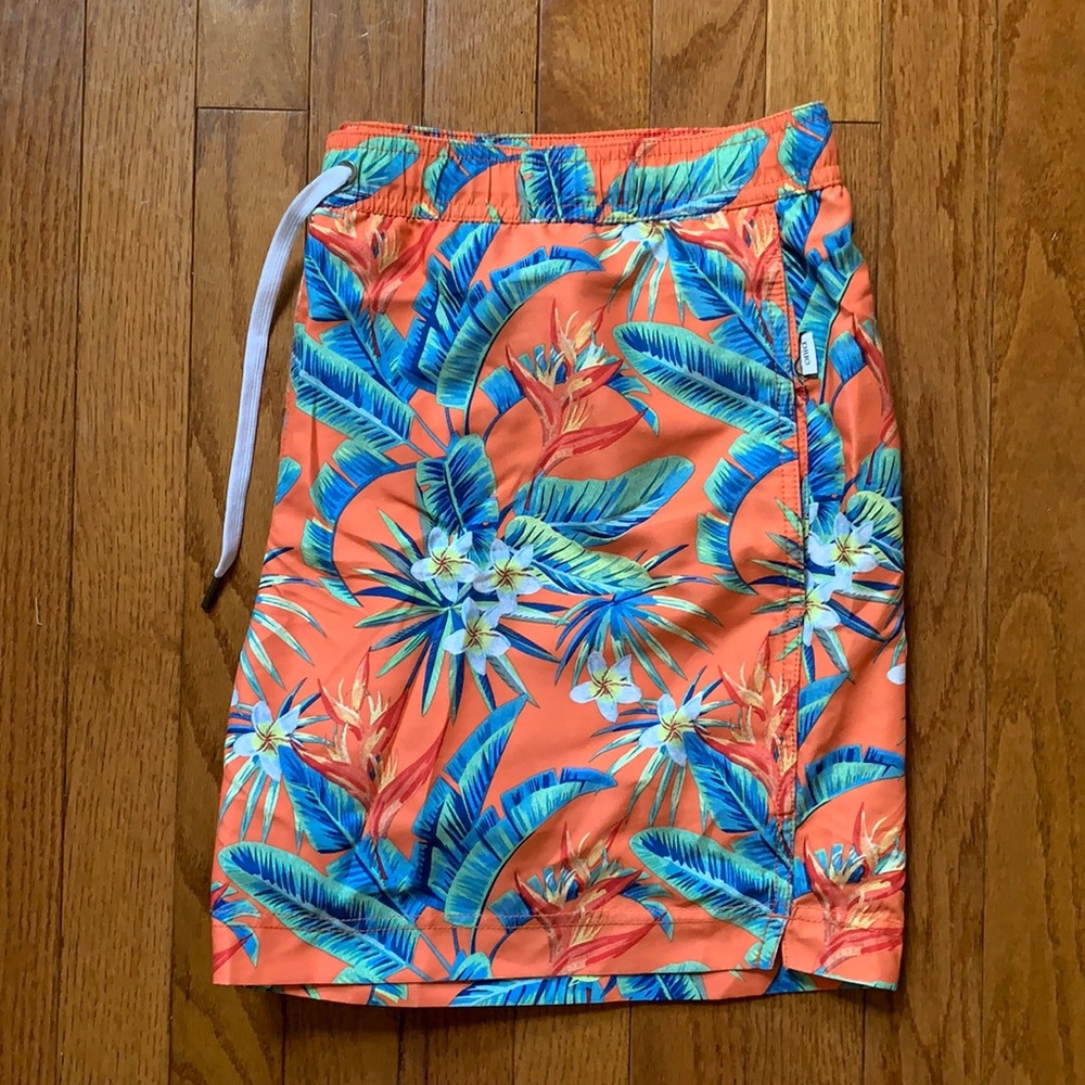 Onia Mens Swim Trunk
